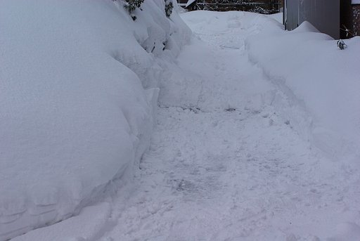 一日分(24h)分の雪!