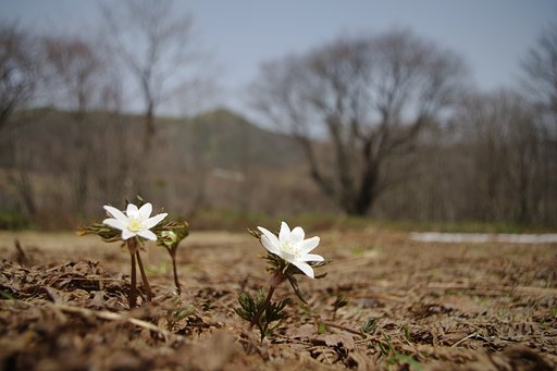 広角１８mmの世界