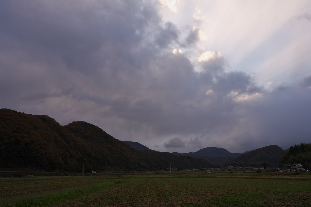 雨降りの日の出の頃。