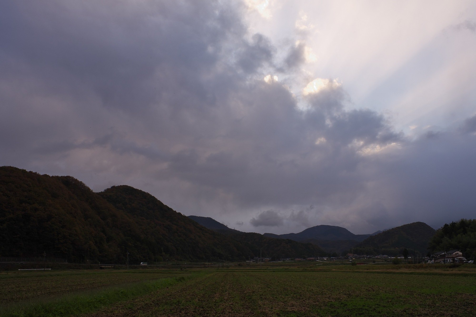 雨降りの日の出の頃。