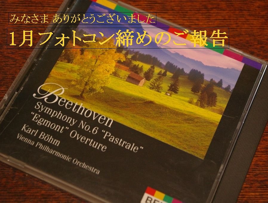 1月フォトコン締め　そして感謝