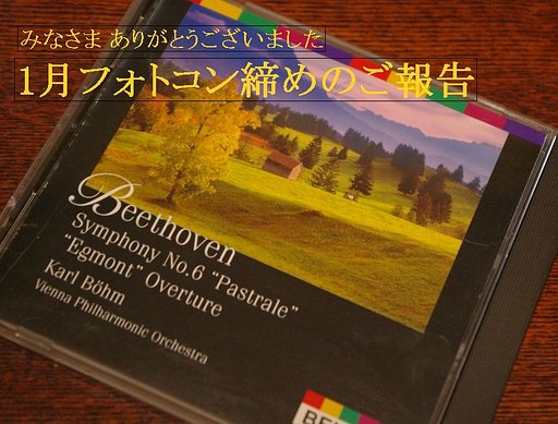 1月フォトコン締め　そして感謝