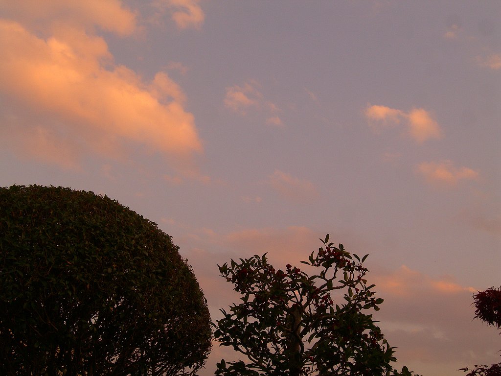 夕焼け