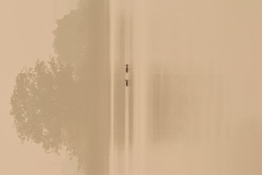 【紅】朝靄に煙る