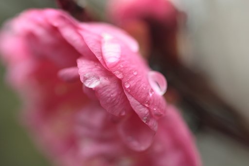 久しぶりの雨