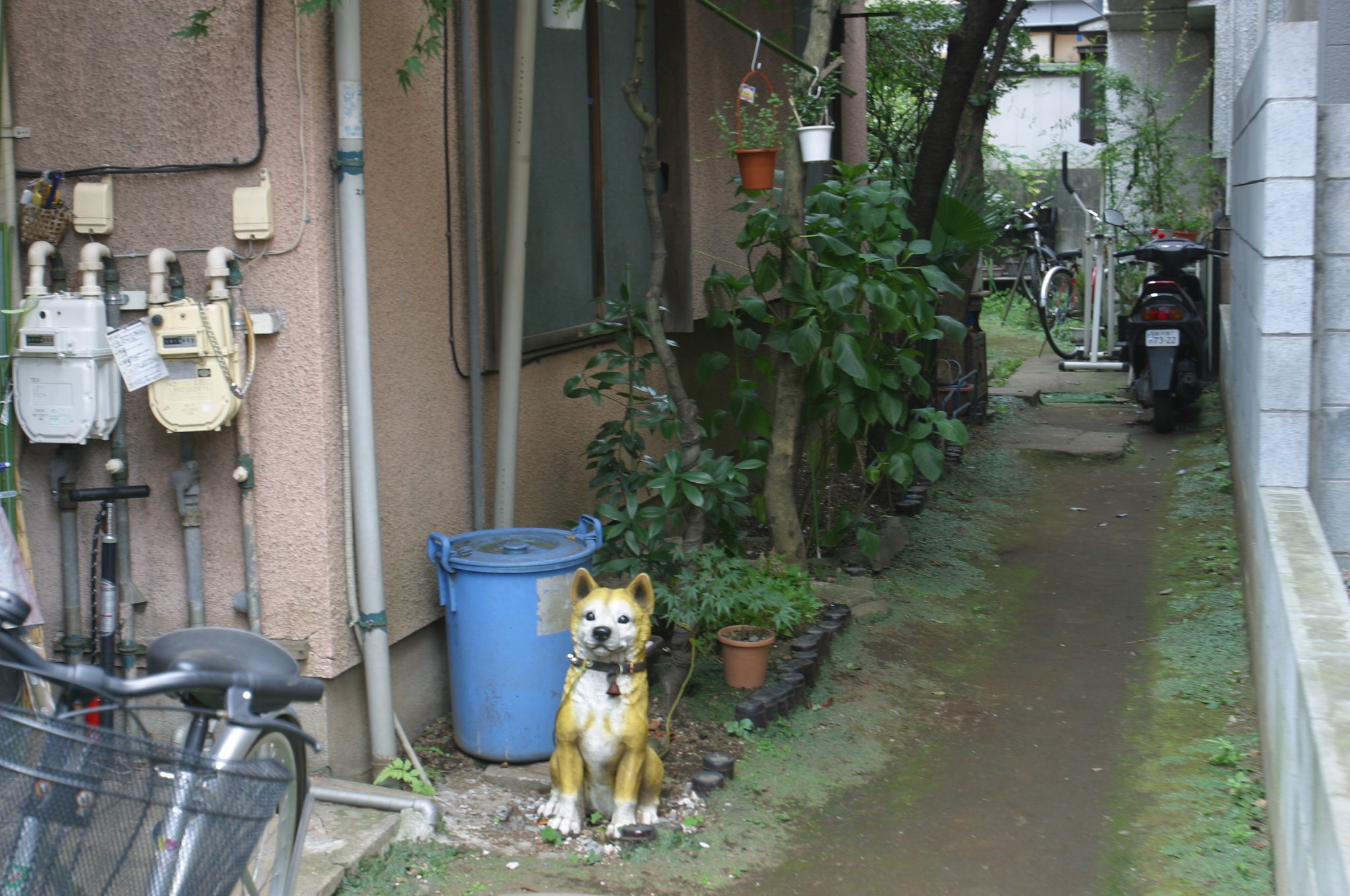 番犬？