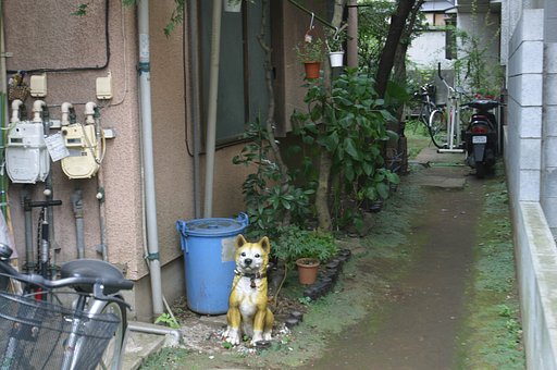 番犬？