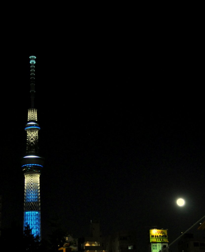ツリーと月