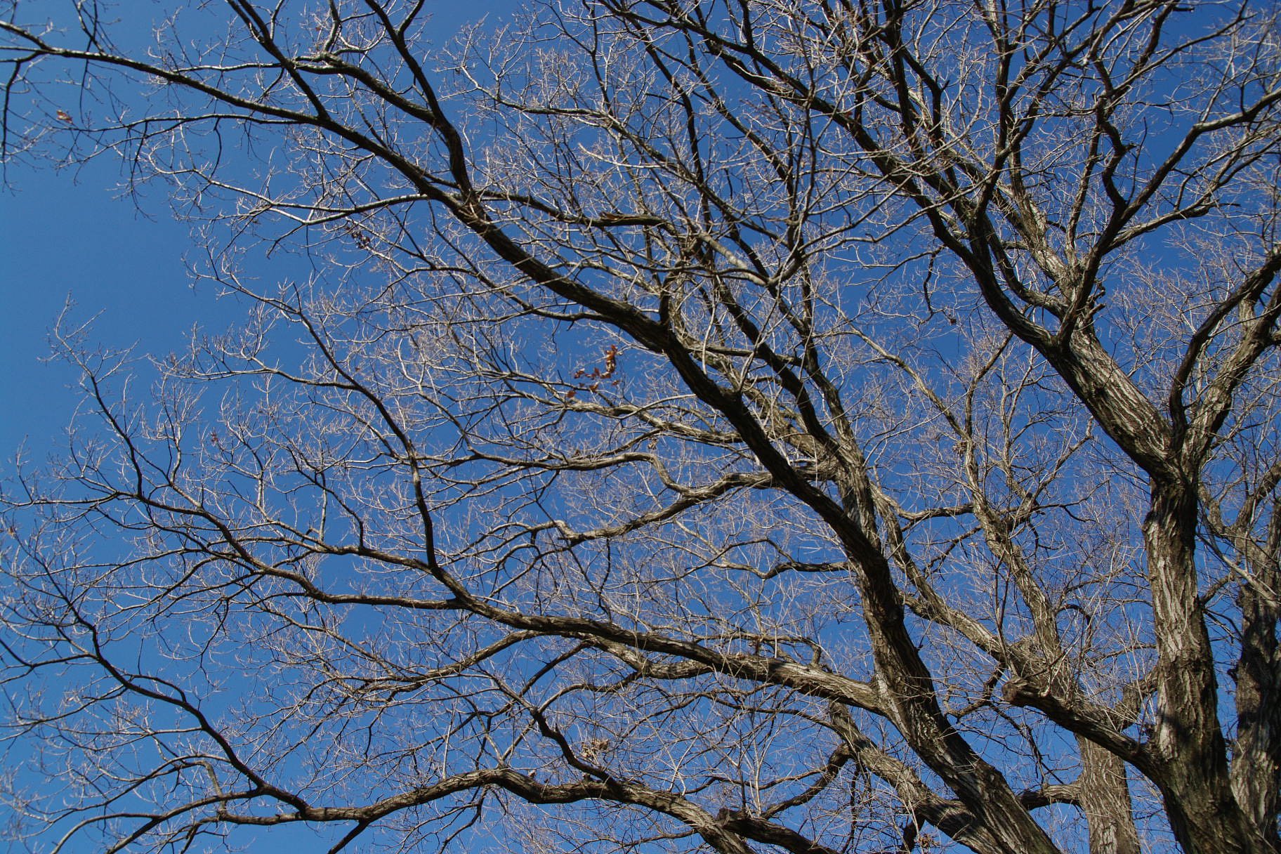 青空