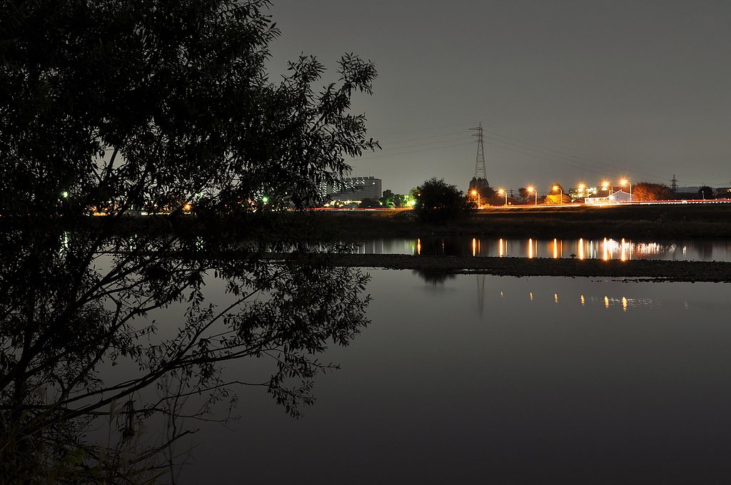 夜の川