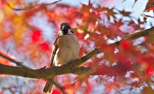 「逆光」でもいい顔でしょ？