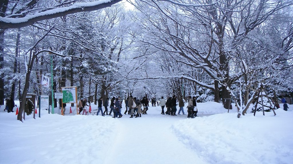【わびさび】大雪のあと