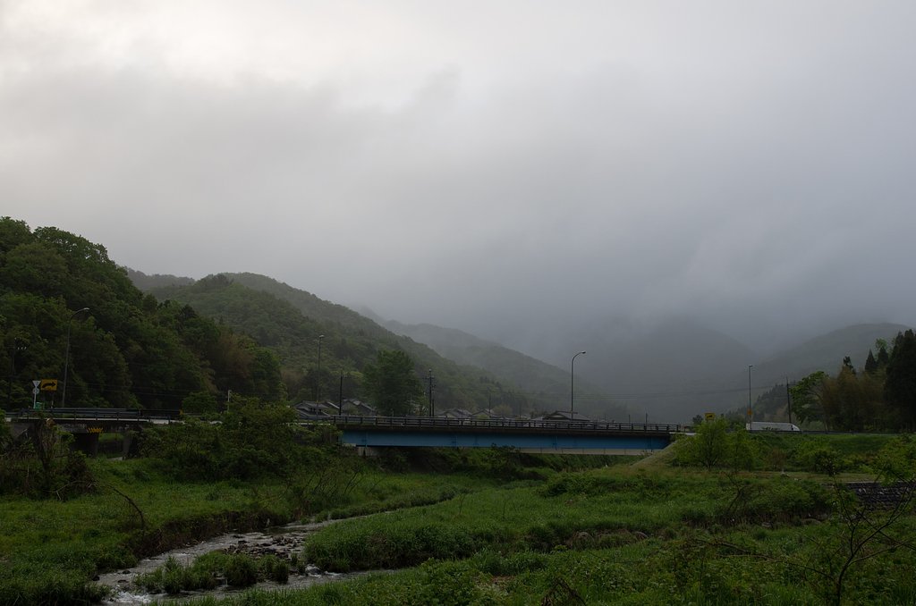 早朝から雨降りです。