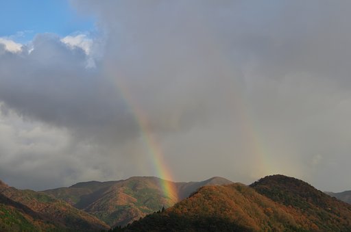 虹が出てきました!