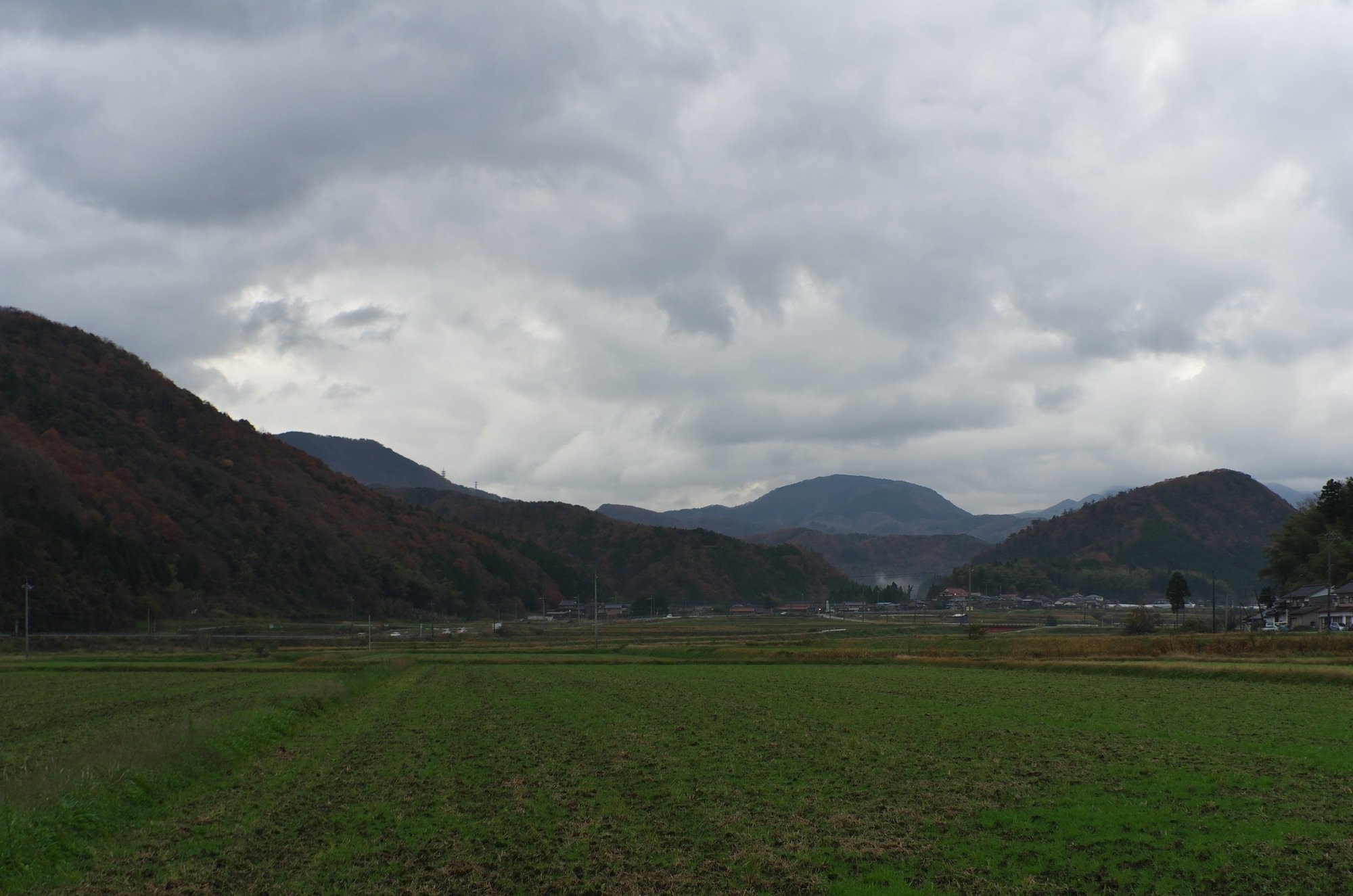 今日も雨上がりの暗い朝・・