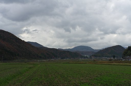 今日も雨上がりの暗い朝・・