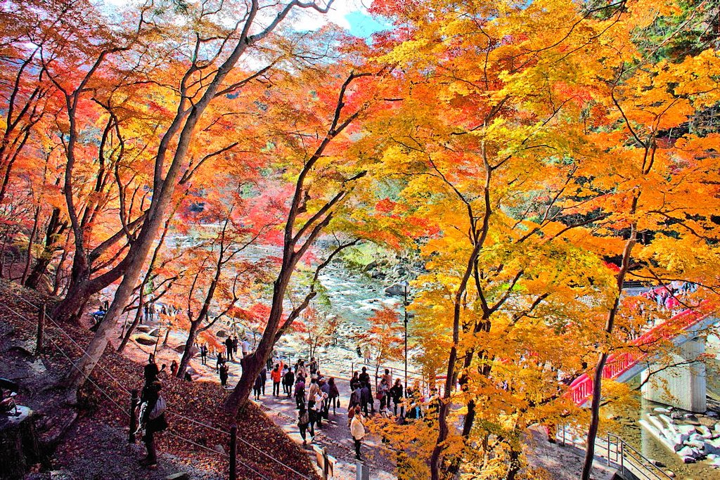 紅葉散策