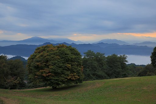 青い山々の朝
