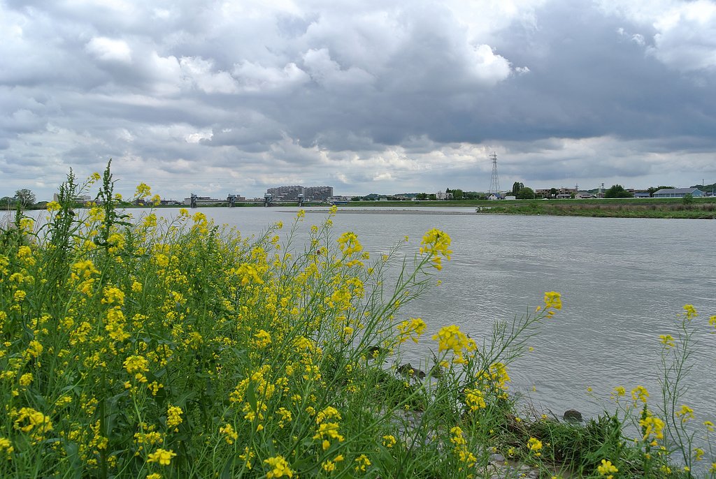 雲の風景