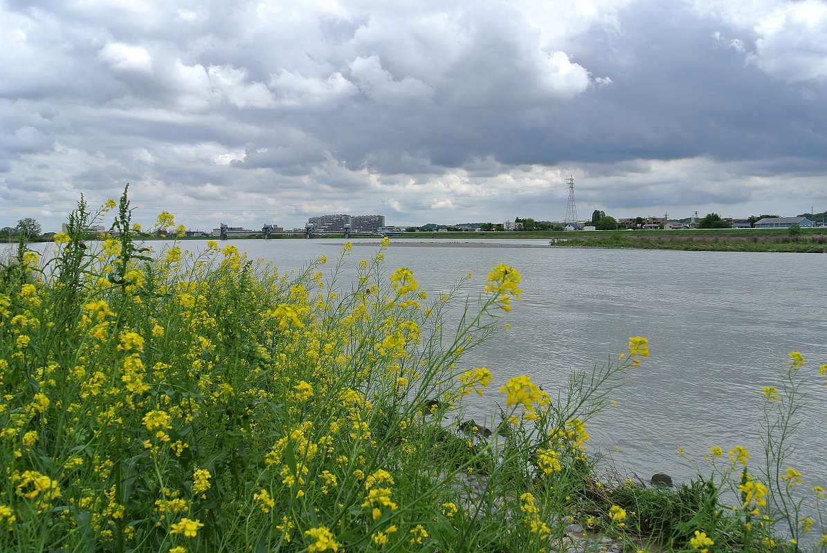 雲の風景