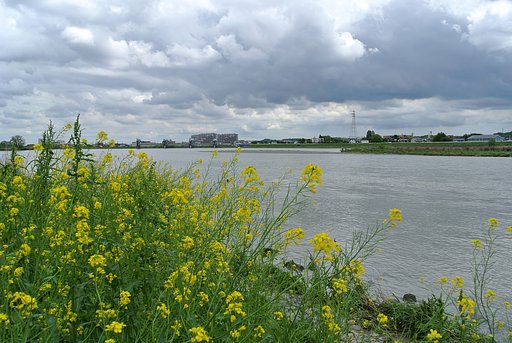雲の風景