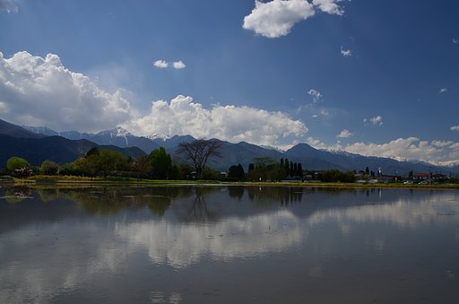 夏へ