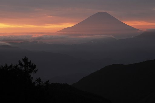 今回も、、