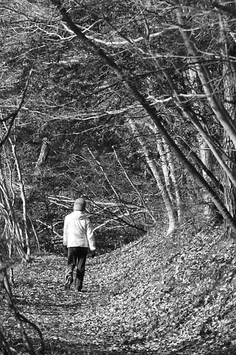冬の散歩【道】