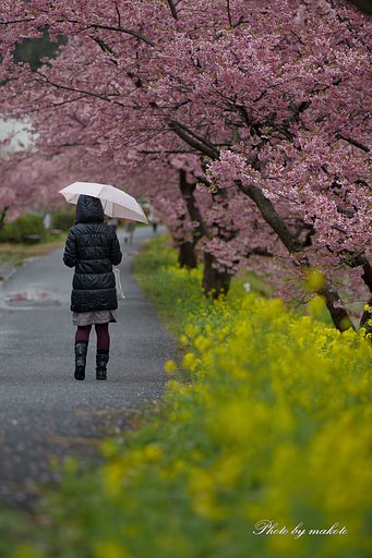 遠く見つめて・・・
