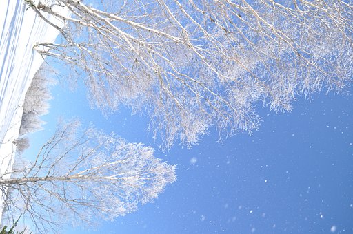 霧氷