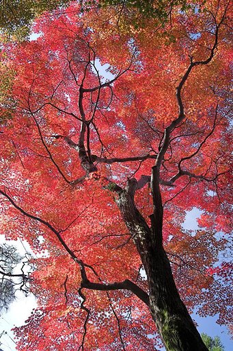 京都で