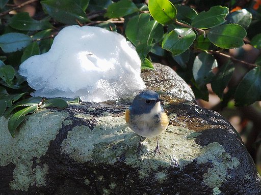 雪石台の眺め