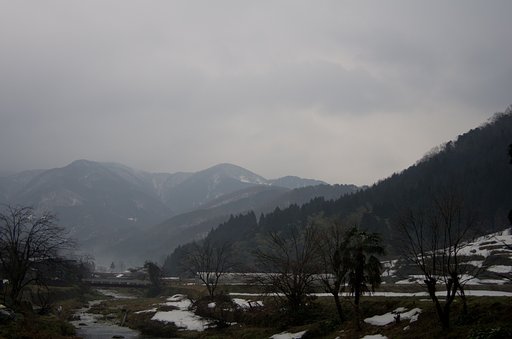 雨降りのくらーい朝です。