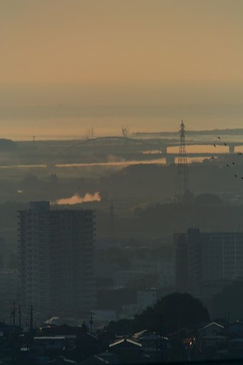 鳥群れ飛ぶ被災地