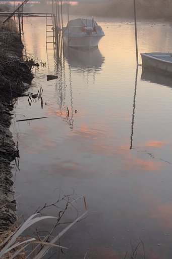 朝霧に包まれて