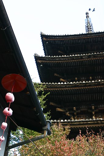 京の秋