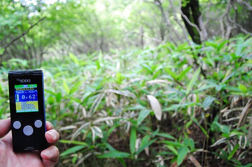 霧降高原　ハイキングコース　0.62μSv/h