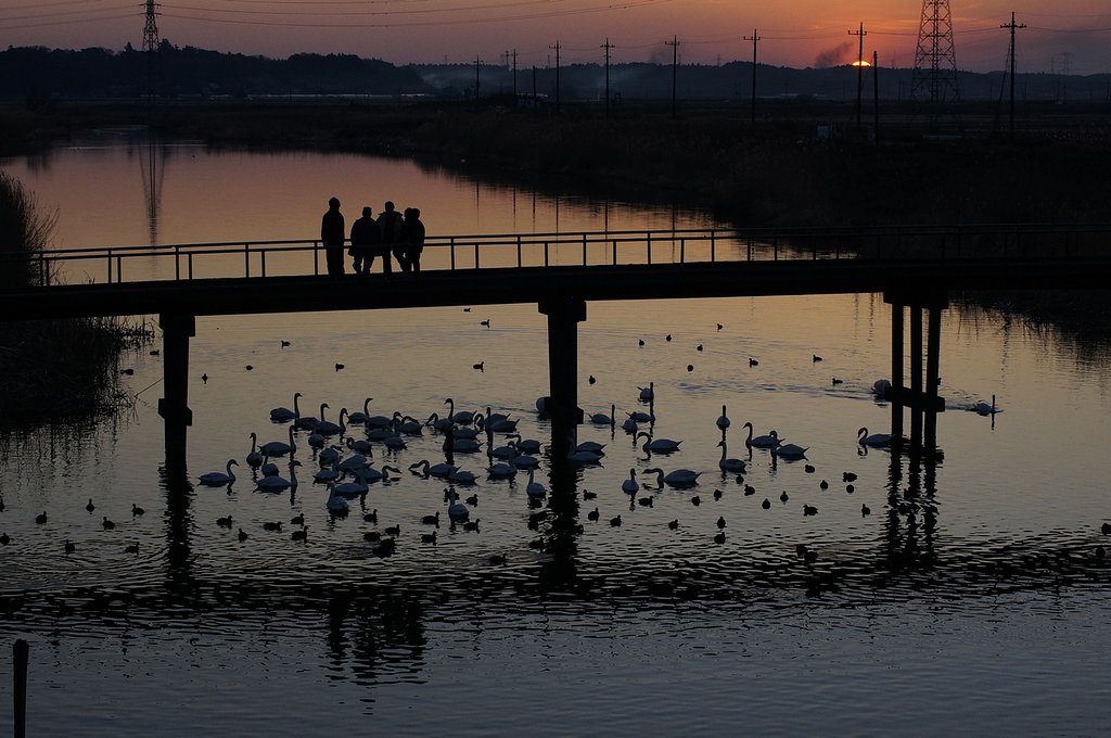 contax40-80/3.5 byNEX５ｎ