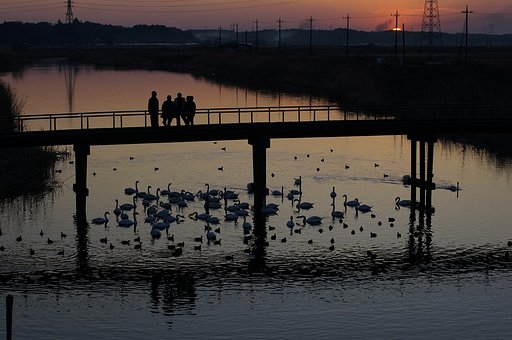 contax40-80/3.5 byNEX５ｎ