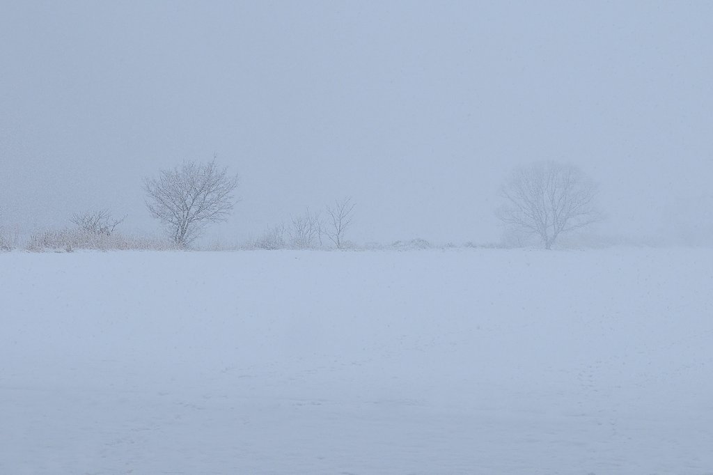雪の河川敷