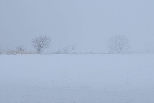 雪の河川敷