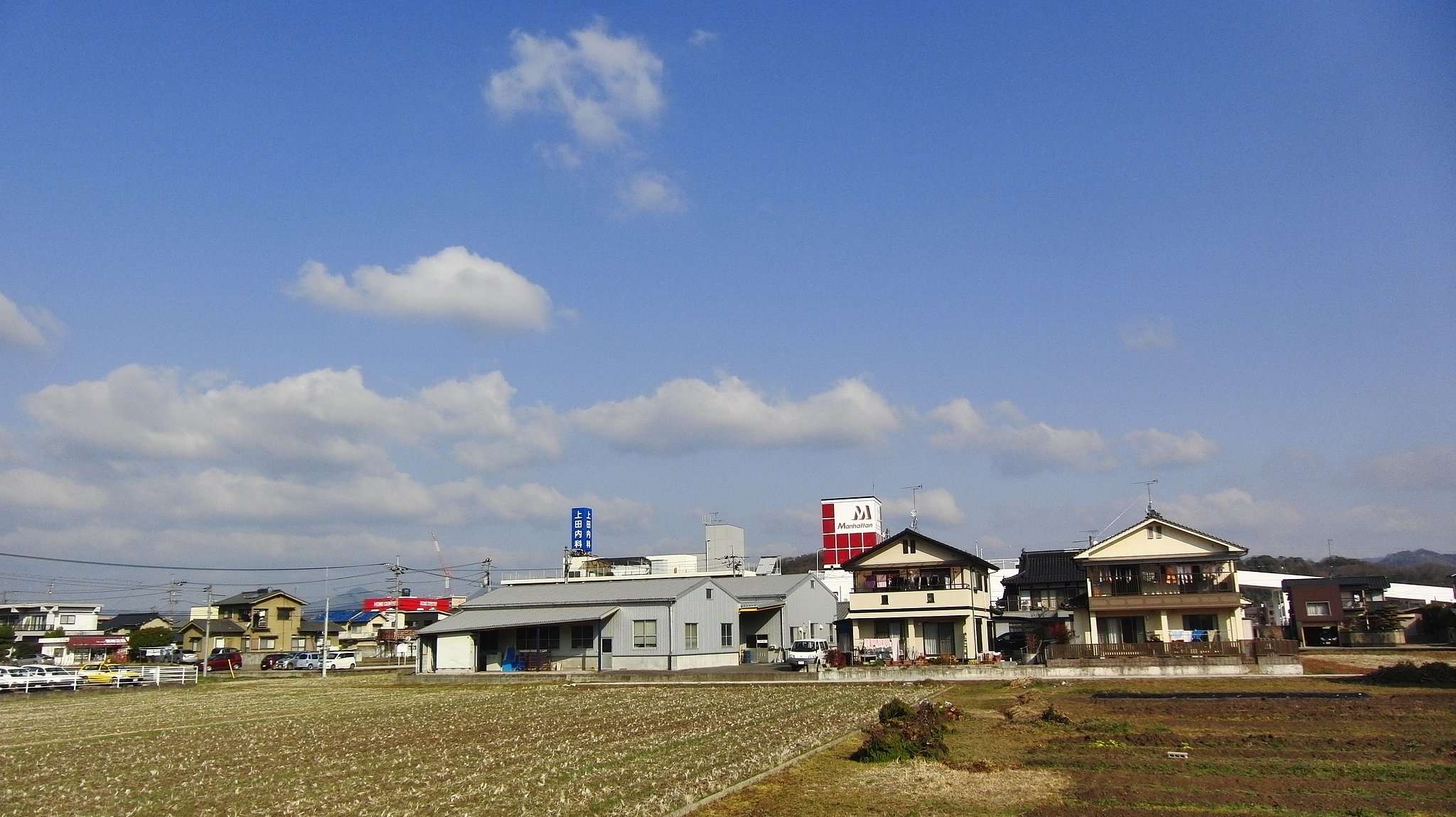 晴れました