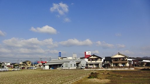 晴れました