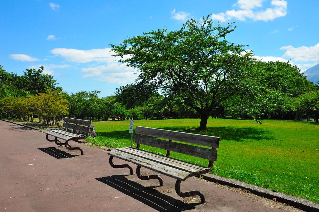 公園