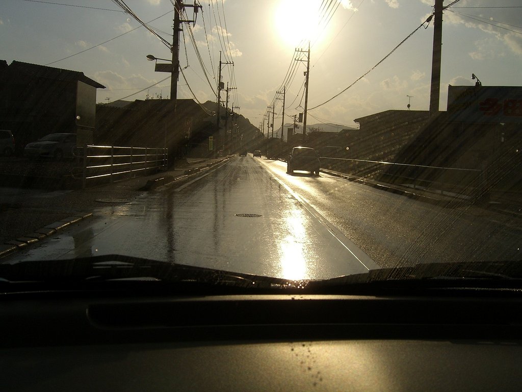 眩い【逆光】