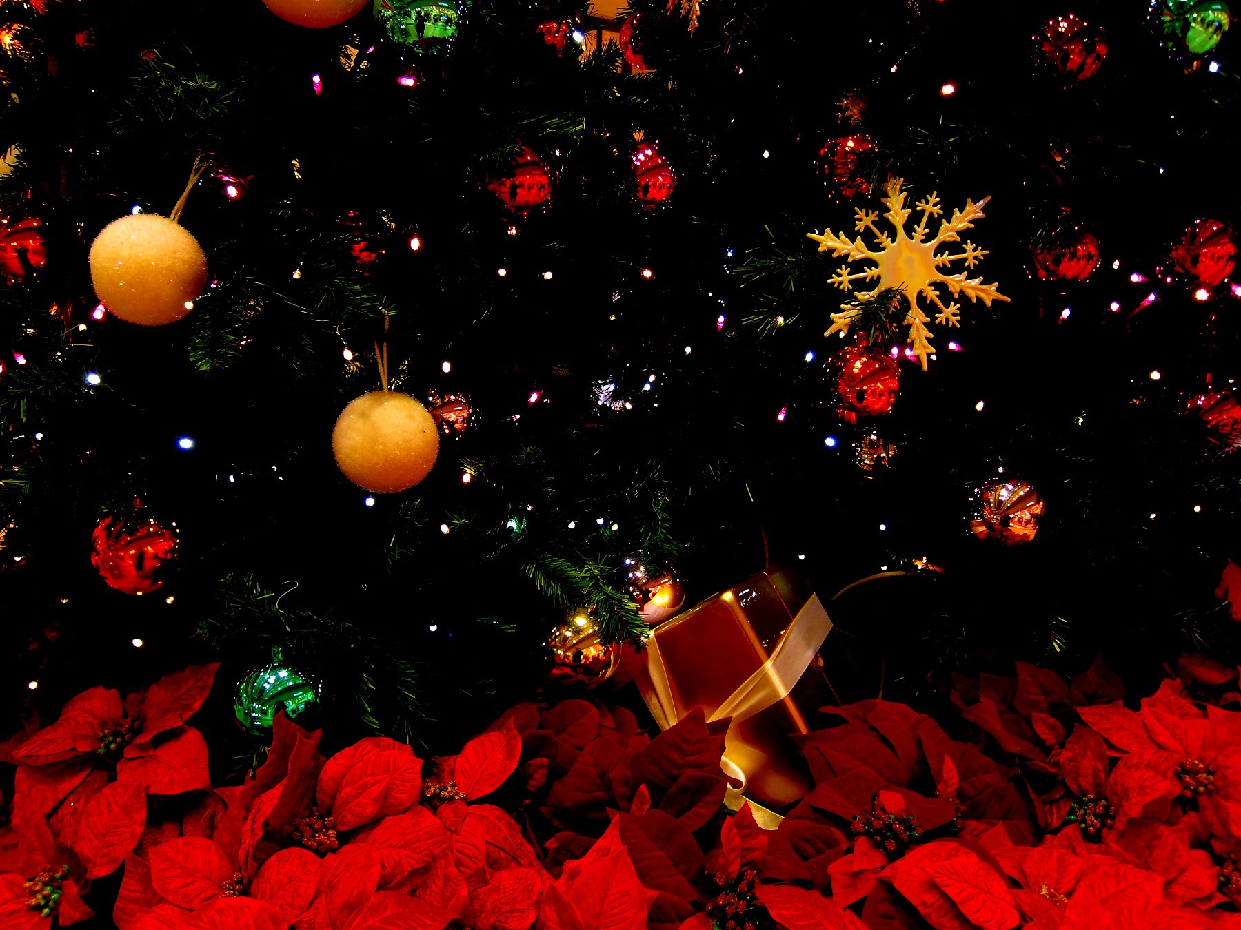 クリスマスツリー