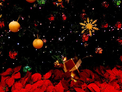 クリスマスツリー