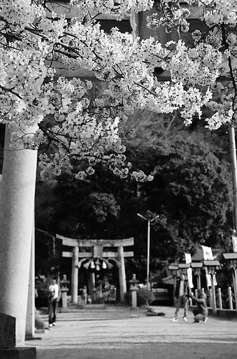 参【道】
