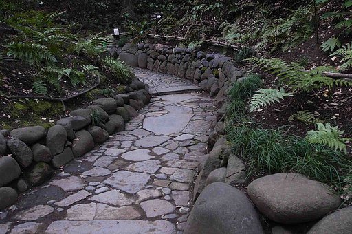 小石川後楽園の【道】