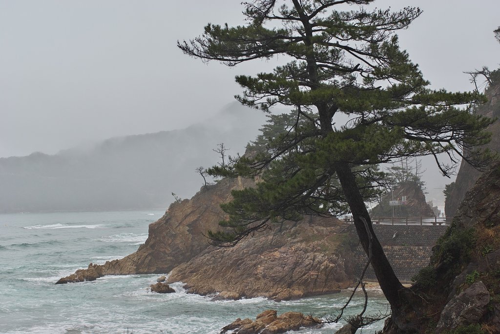 西脇海岸-2